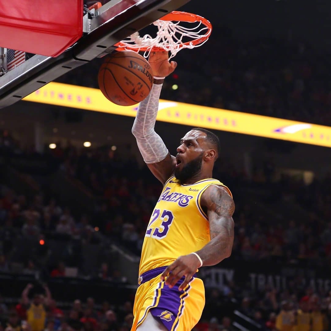 动与回合质 动与回合质